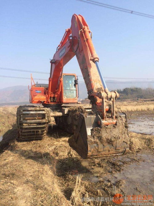 湖北210美國(guó)卡特水陸挖機(jī)租賃助力江南灘涂開發(fā)治理